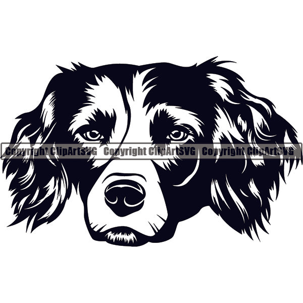 English Springer Spaniel Dog Breed Head Face ClipArt SVG