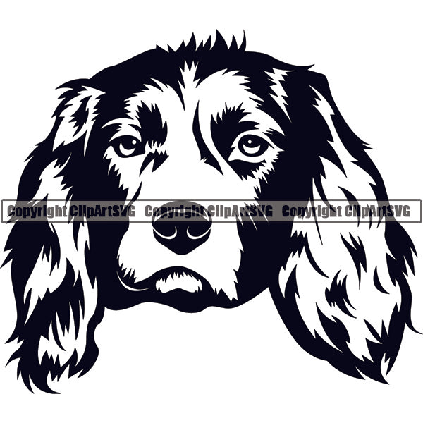 English Springer Spaniel Dog Breed Head Face ClipArt SVG
