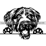 German Wirehaired Pointer Peeking Dog Breed ClipArt SVG