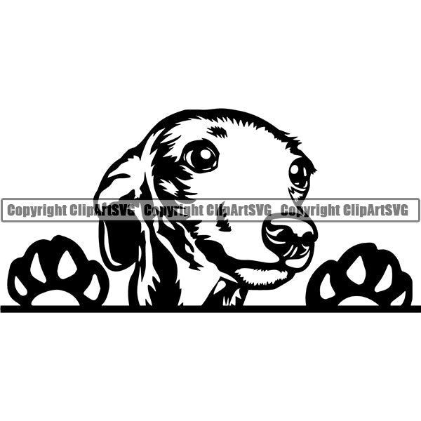 Greyhound Italian Peeking Dog Breed ClipArt SVG