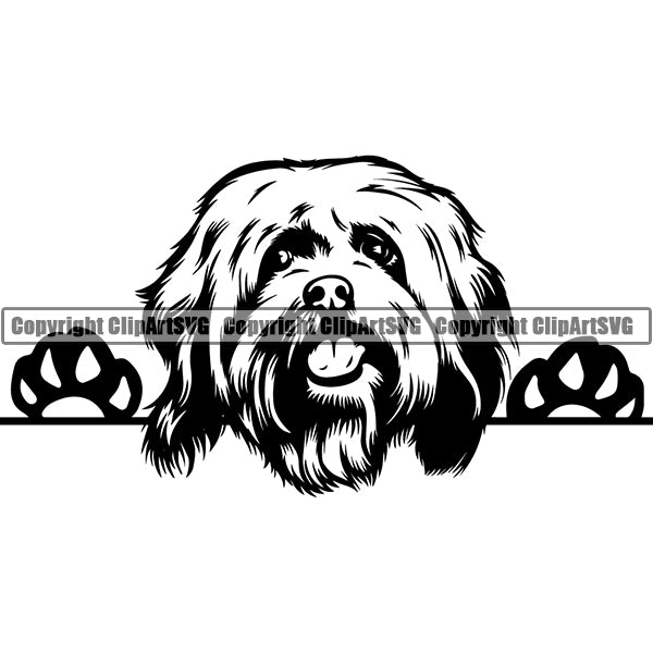 Havanese Peeking Dog Breed ClipArt SVG