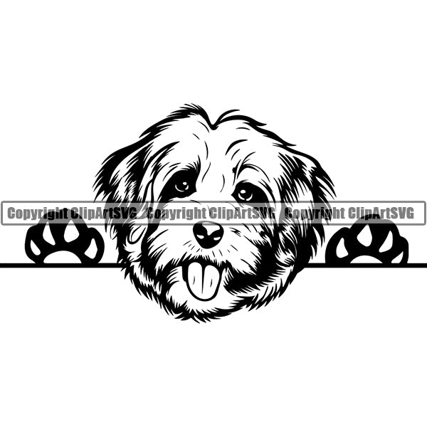 Havanese Peeking Dog Breed ClipArt SVG