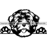Havanese Peeking Dog Breed ClipArt SVG