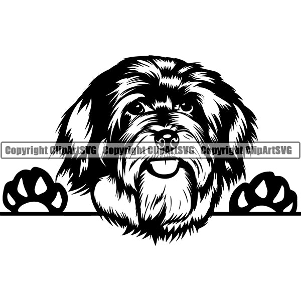 Havanese Peeking Dog Breed ClipArt SVG