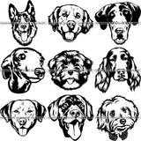 27 Dog Breed Head Face Top Selling Designs SUPER BUNDLE ClipArt SVG