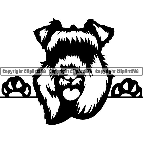 Kerry Blue Terrier Peeking Dog Breed ClipArt SVG