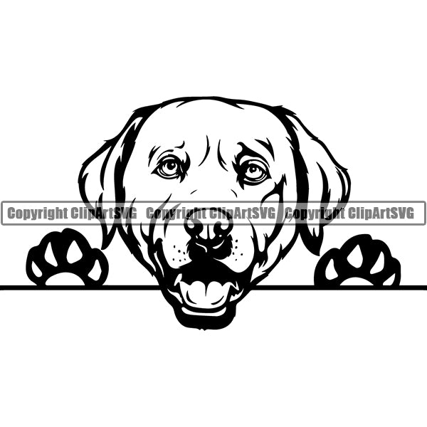 Labrador Retriever Peeking Dog Breed ClipArt SVG