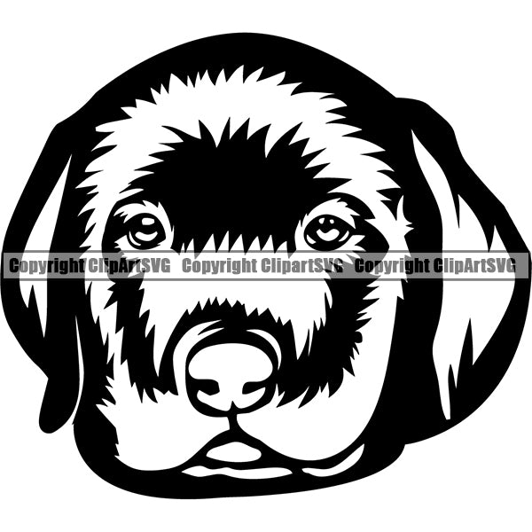 Labrador Retriever Dog Breed Head Face ClipArt SVG