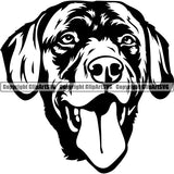 Labrador Retriever Dog Breed Head Face ClipArt SVG