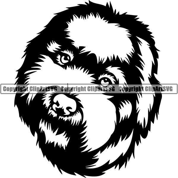 Lagotto Romagnolo Dog Breed Head Face ClipArt SVG