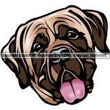 Mastiff Dog Breed Head Color ClipArt SVG