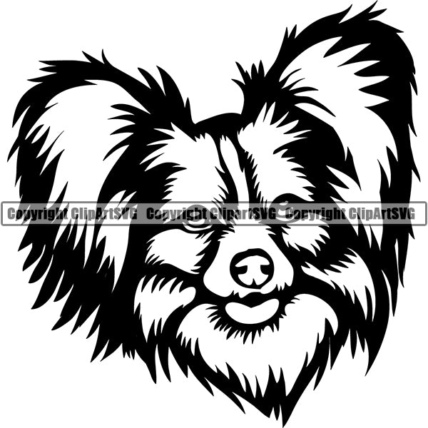 Papillon Dog Breed Head Face ClipArt SVG