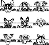 9 WORLD FAMOUS PEEKING DOG Breed Top Selling Designs BUNDLE ClipArt SVG