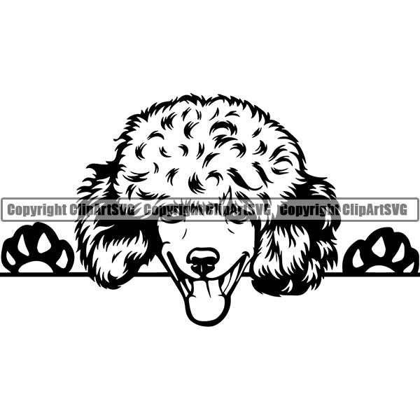 Poodle Peeking Dog Breed ClipArt SVG