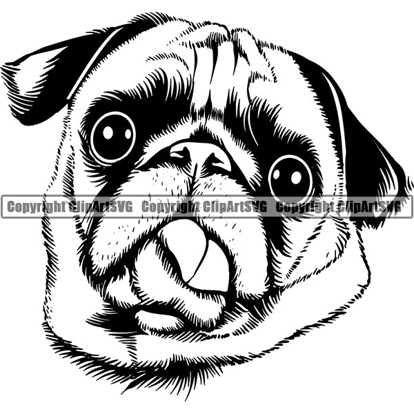 Pug Dog Breed Head Face ClipArt SVG