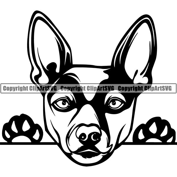 Rat Terrier Dog Breed ClipArt SVG