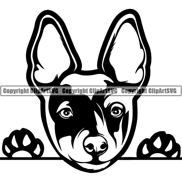 Rat Terrier Dog Breed ClipArt SVG
