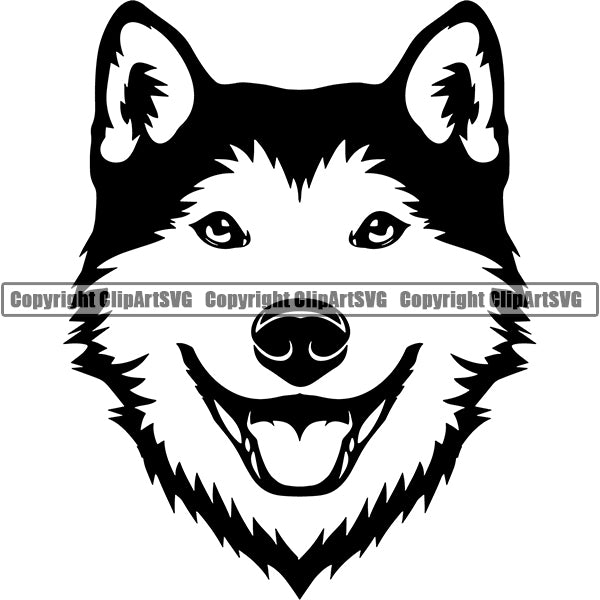 Siberian Husky Dog Breed Head Face ClipArt SVG