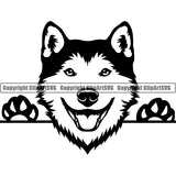 Siberian Husky Peeking Dog Breed ClipArt SVG