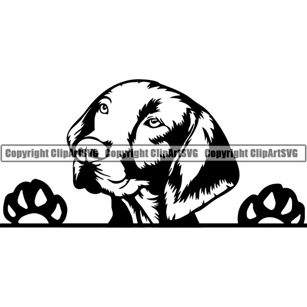 Vizsla Peeking Dog Breed ClipArt SVG
