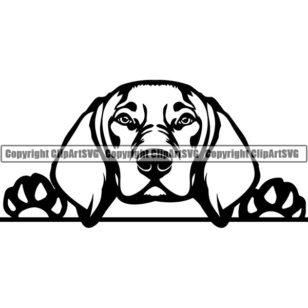 Vizsla Peeking Dog Breed ClipArt SVG