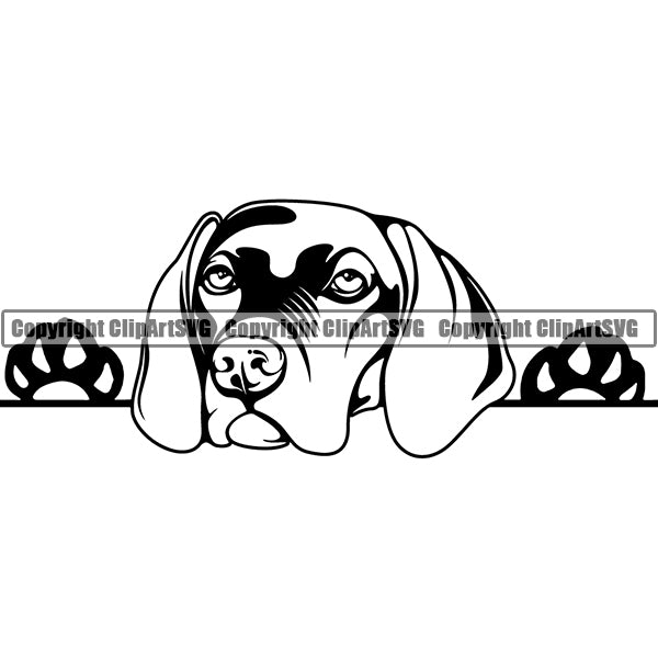 Vizsla Peeking Dog Breed ClipArt SVG