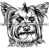 Yorkshire Terrier Dog Breed Head Face ClipArt SVG