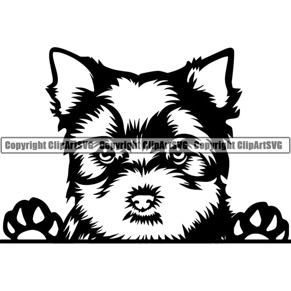 Yorkshire Terrier Peeking Dog Breed ClipArt SVG