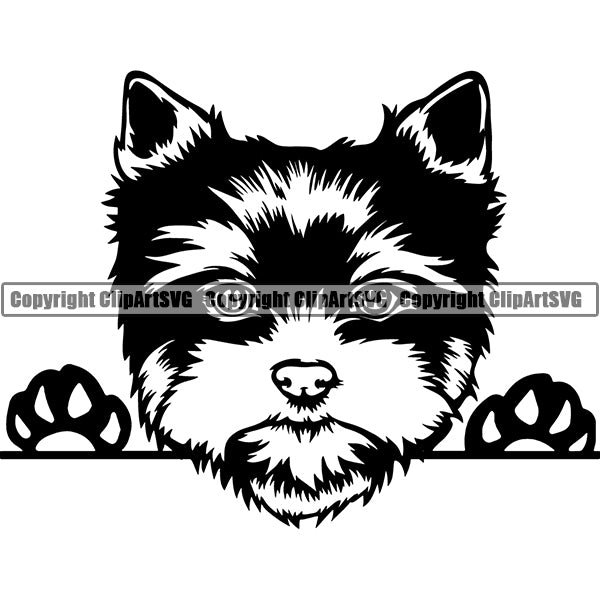 Yorkshire Terrier Peeking Dog Breed ClipArt SVG