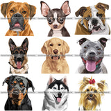 9 Dog Breed Head Face Top Selling Color Designs BUNDLE ClipArt SVG