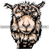 Domestic Alpaca Llama Breed Breeder Farm Meat Food Wool Clipart SVG