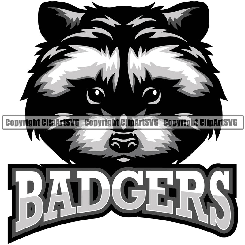 Badger Sport Team Logo Vector Animal Badger Mascot Color Combo Clipart SVG
