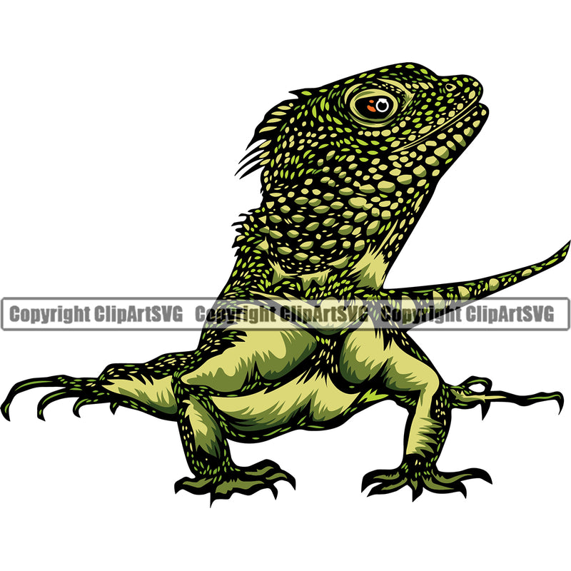 Bearded Dragon Nature Lizard Pet Reptile Wildlife Animal Cute ClipArt SVG