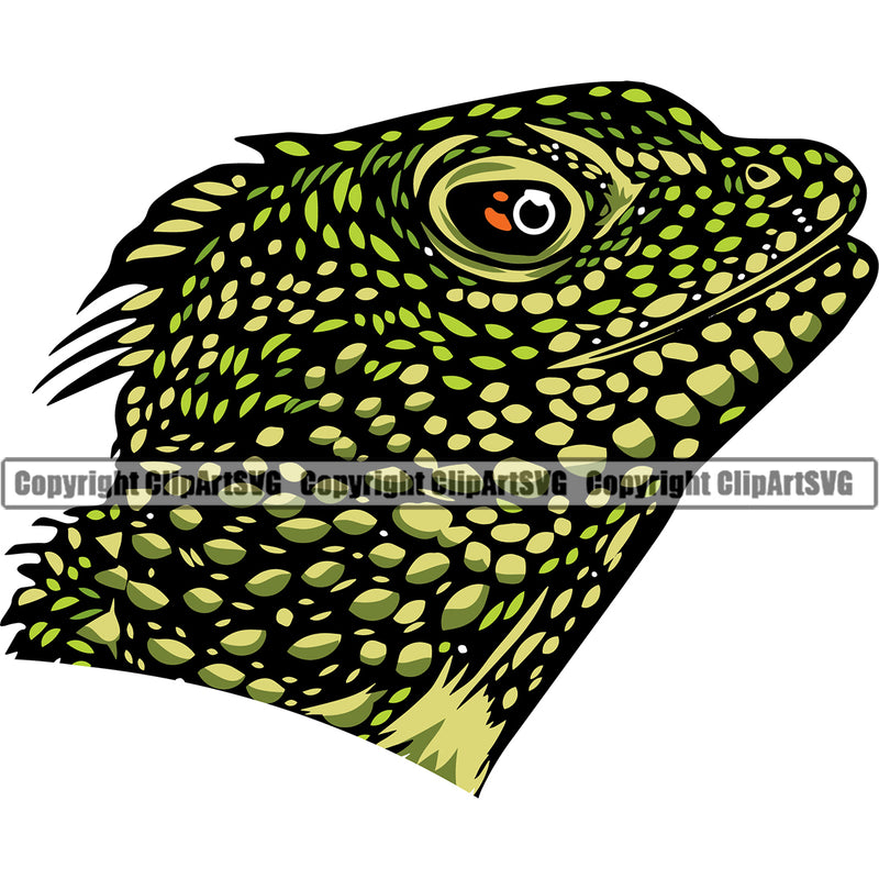 Bearded Dragon Head Nature Lizard Pet Reptile Wildlife Animal Reptilian Cute ClipArt SVG