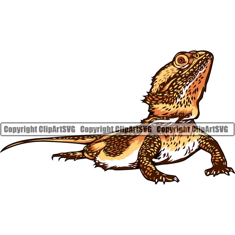 Bearded Dragon Head Nature Pogona Lizard Design Pet Reptile Wildlife Animal Reptilian Cute ClipArt SVG