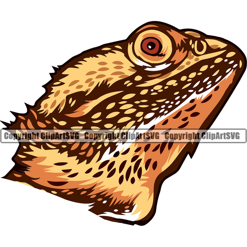 Bearded Dragon Head Nature Desert Wild Lizard Design Pet Reptile Wildlife Animal Reptilian Cute ClipArt SVG
