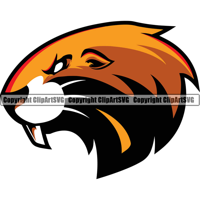 Beaver Forest Animal Brown Teeth Design Natural Tail Sports Team Game Mascot Cartoon Graphic Wildlife Outdoors ClipArt SVG