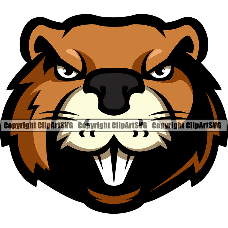 Beaver Mammal Wildlife Rodent Castor Tail Brown Cartoon Sports Team Game Mascot Design Eating Teeth Symbol Forest Outdoors ClipArt SVG