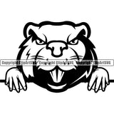 Beaver Animal Wildlife Rodent Castor White Cartoon Design Sports Team Game Mascot Eating Symbol Forest ClipArt SVG