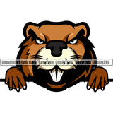 Beaver Forest Mammal Brown Cartoon Natural Tail Graphic Sports Team Game Mascot Wildlife Forest Cheerful Standing Outdoors ClipArt SVG