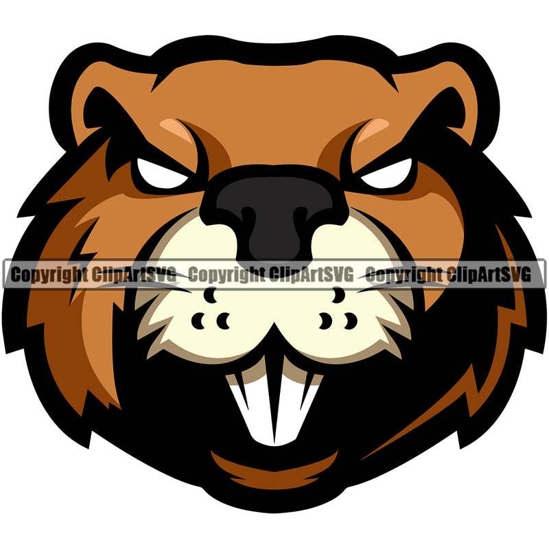Beaver Mammal Wildlife Rodent Brown Teeth Design Cartoon Natural Sports Team Game Mascot Forest Castor Outdoors ClipArt SVG