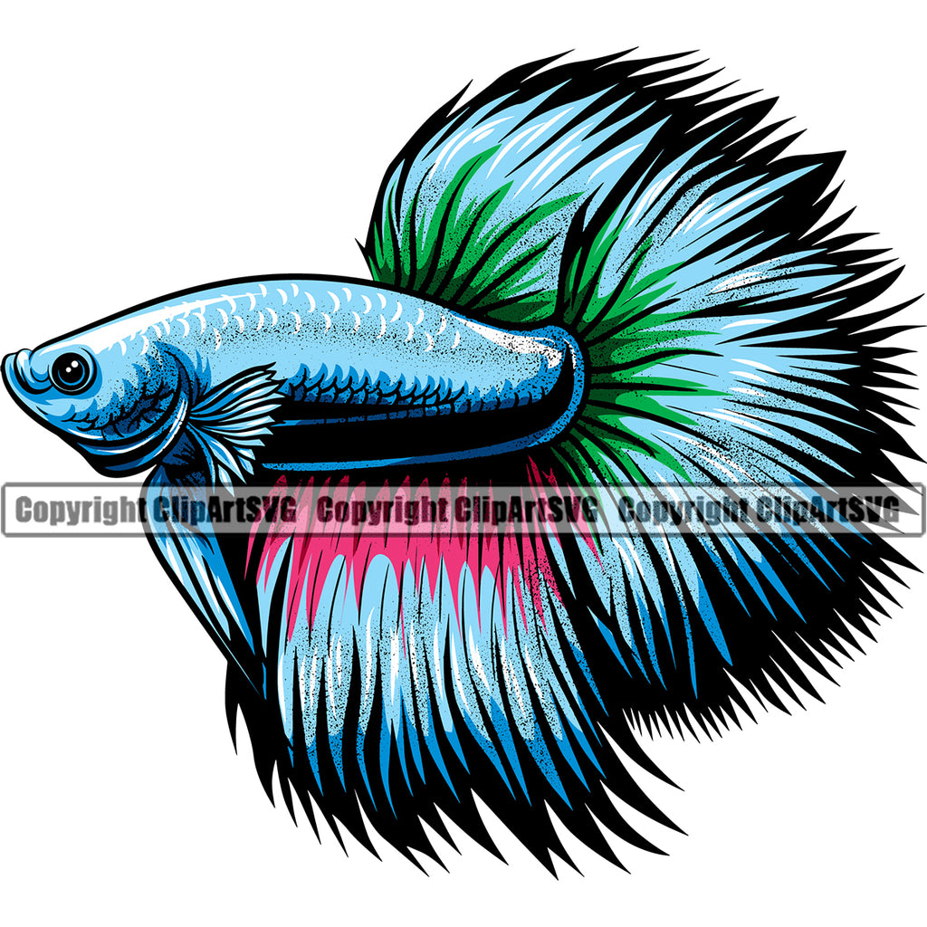 Betta Fish Pet Animal Aquarium Tropical Siamese Tail Exotic Aggressive Plakat Thai Tank Bowl Design Logo Clipart SVG