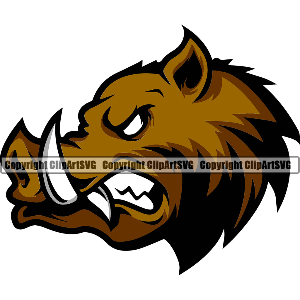 Animal Mascot Color Hogs Design Wild Peeking Angry Pig Boar Razorback Mascot Clipart SVG