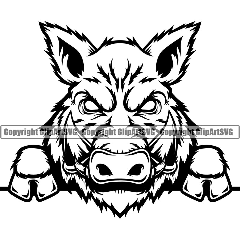 Boar Wild Hog Peeking Peek-A-Boo Pig Razorback Animal Angry Cartoon College Team Sport Mascot Design Logo Clipart SVG
