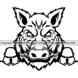 Boar Wild Hog Peeking Peek-A-Boo Pig Razorback Animal Angry Cartoon College Team Sport Mascot Design Logo Clipart SVG