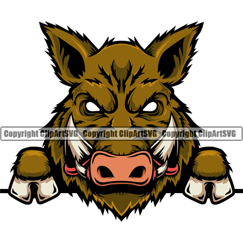 Boar Wild Hog Peeking Peek-A-Boo Pig Razorback Color Animal Angry Cartoon College Team Sport Mascot Design Logo Clipart SVG
