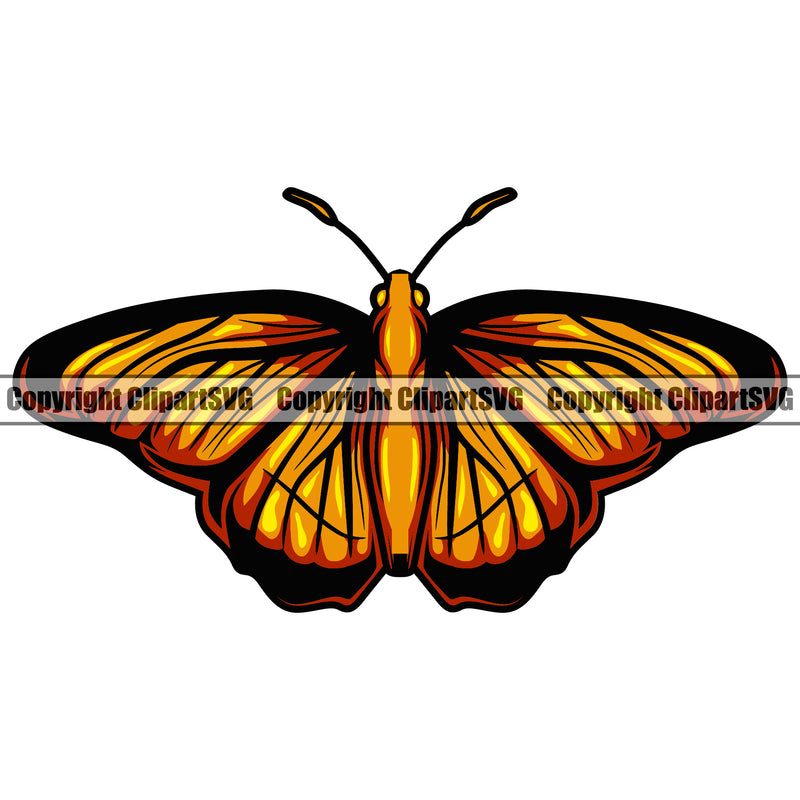 Gold Color Butterfly Insect Design Image White Background Vector Clipart SVG