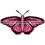 Pink And Black Insect Butterfly Animal Design White Background Vector Clipart SVG