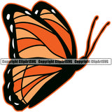 Colorful Insect Butterfly Design White Background Animal Mascot Vector Clipart SVG