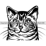 Animal Black Color Persian Breed Cat And White Background Logo Vector Clipart SVG